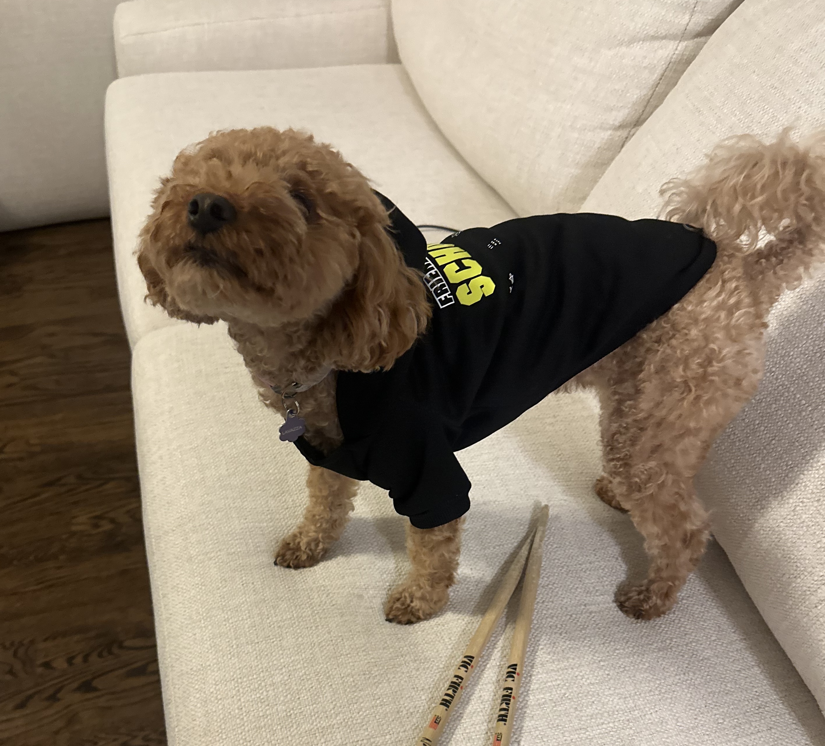 Friends From School dog hoodie